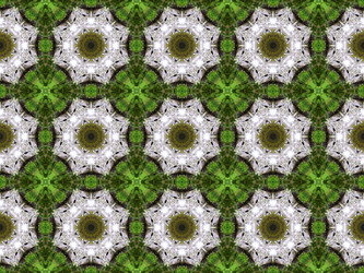 Similar image 6654085