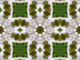 Similar image 6654086