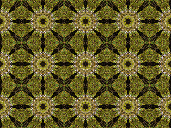 Similar image 6654097