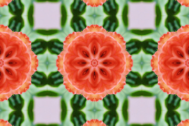 Similar image 6654100