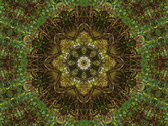 Similar image 6654101