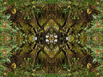 Similar image 6654102