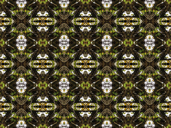 Similar image 6654109