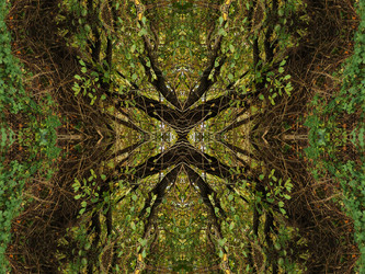 Similar image 6654111