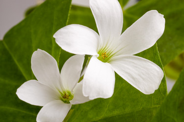 Similar image 6665648