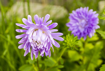 Similar image 6665649