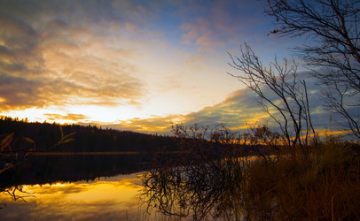 Similar image 6665656