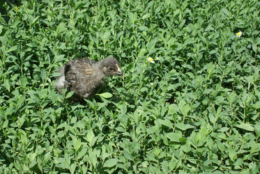 Similar image 6665660