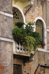 Similar image 6665664