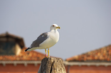 Similar image 6665665