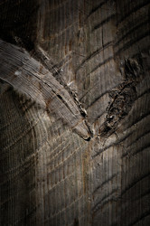 Similar image 6665723