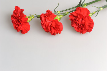 Similar image 6666007