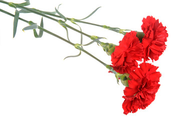 Similar image 6666022