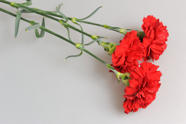 Similar image 6666023