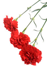 Similar image 6666025