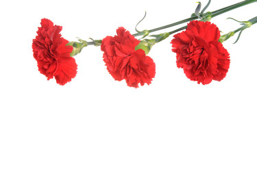 Similar image 6666027