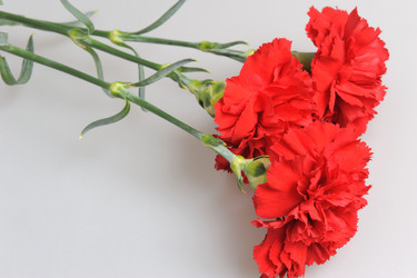 Similar image 6666034