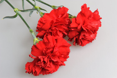 Similar image 6666035