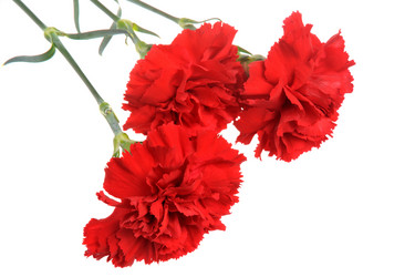 Similar image 6666036