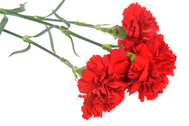 Similar image 6666037