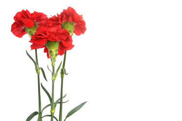 Similar image 6666041