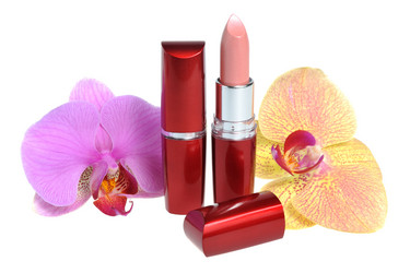 Similar image 6666046