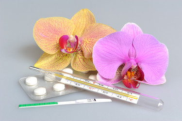 Similar image 6666066