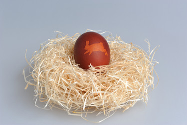 Similar image 6666099