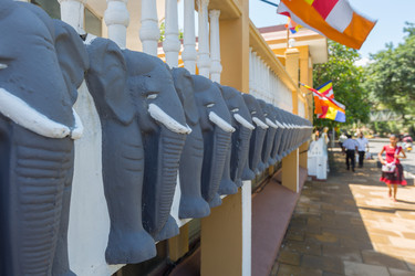 Similar image 6666123