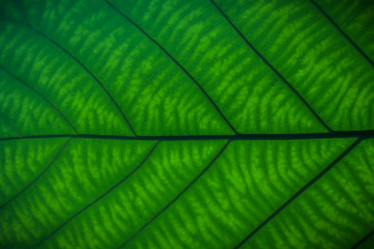 Similar image 6666132