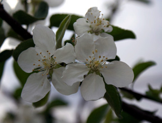 Similar image 6666146