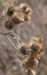 Similar image 6666148