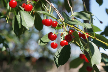 Similar image 6666150