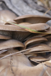 Similar image 6666152