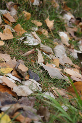 Similar image 6666153