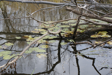 Similar image 6666154