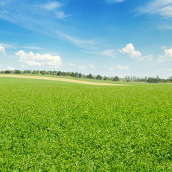 Similar image 6666335