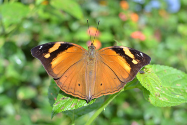 Similar image 6666339