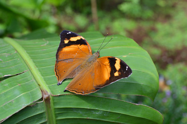 Similar image 6666346