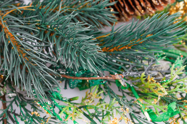 Similar image 6666416