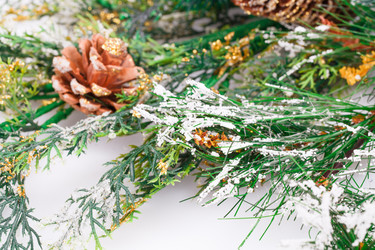 Similar image 6666417