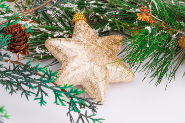 Similar image 6666456