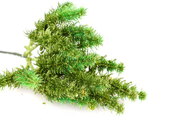 Similar image 6666548