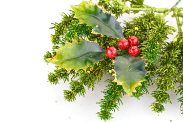 Similar image 6666549