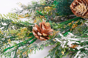 Similar image 6666557