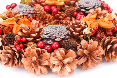 Similar image 6666567