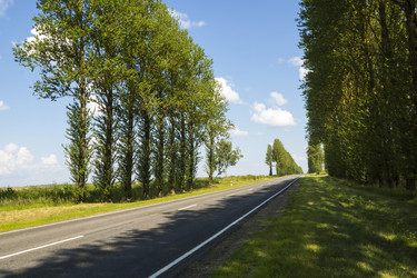 Similar image 6666702