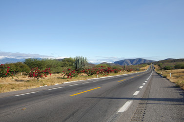 Similar image 6666743