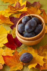 Similar image 6666800