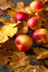 Similar image 6666801